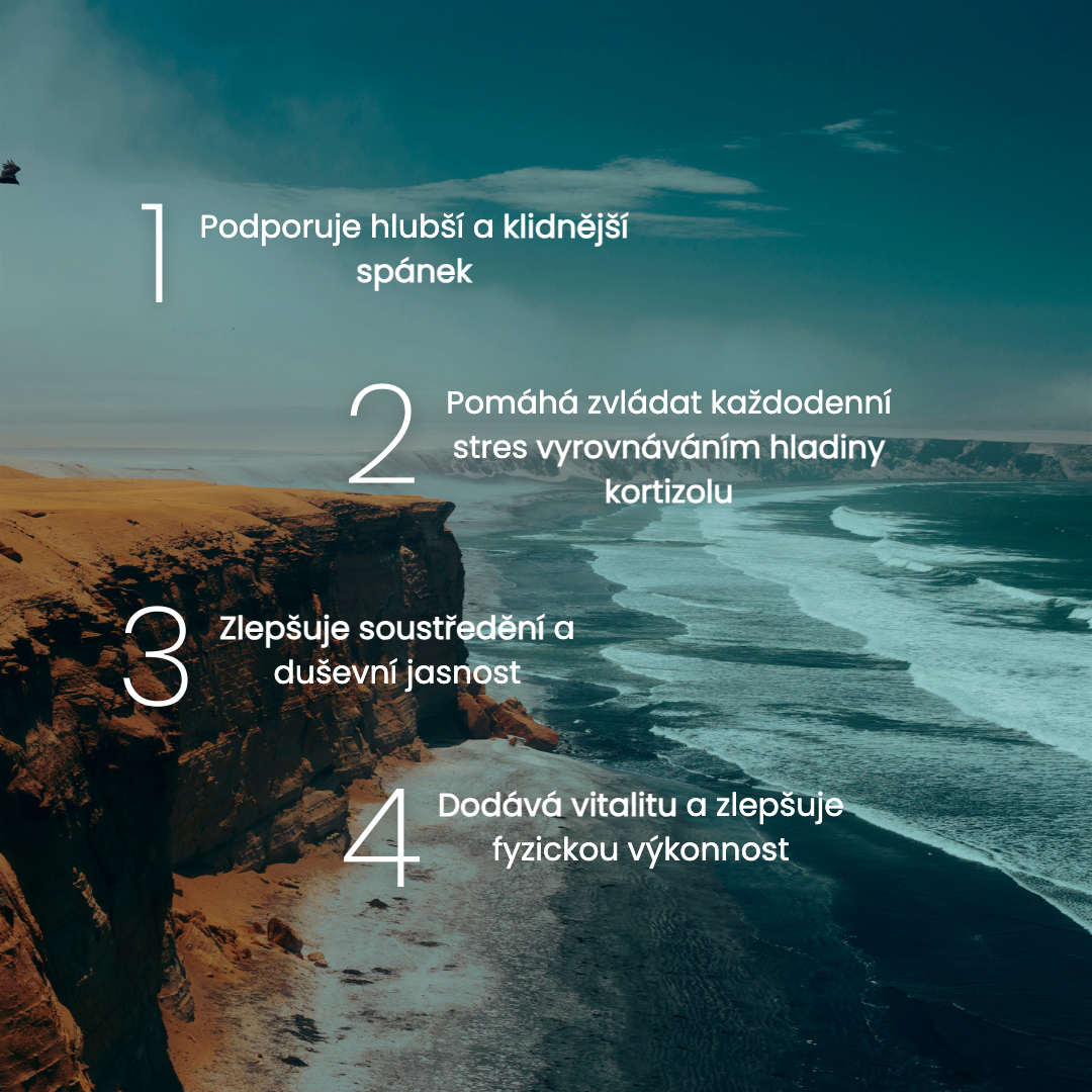 Ashwagandha 600mg - 60 kapsúl