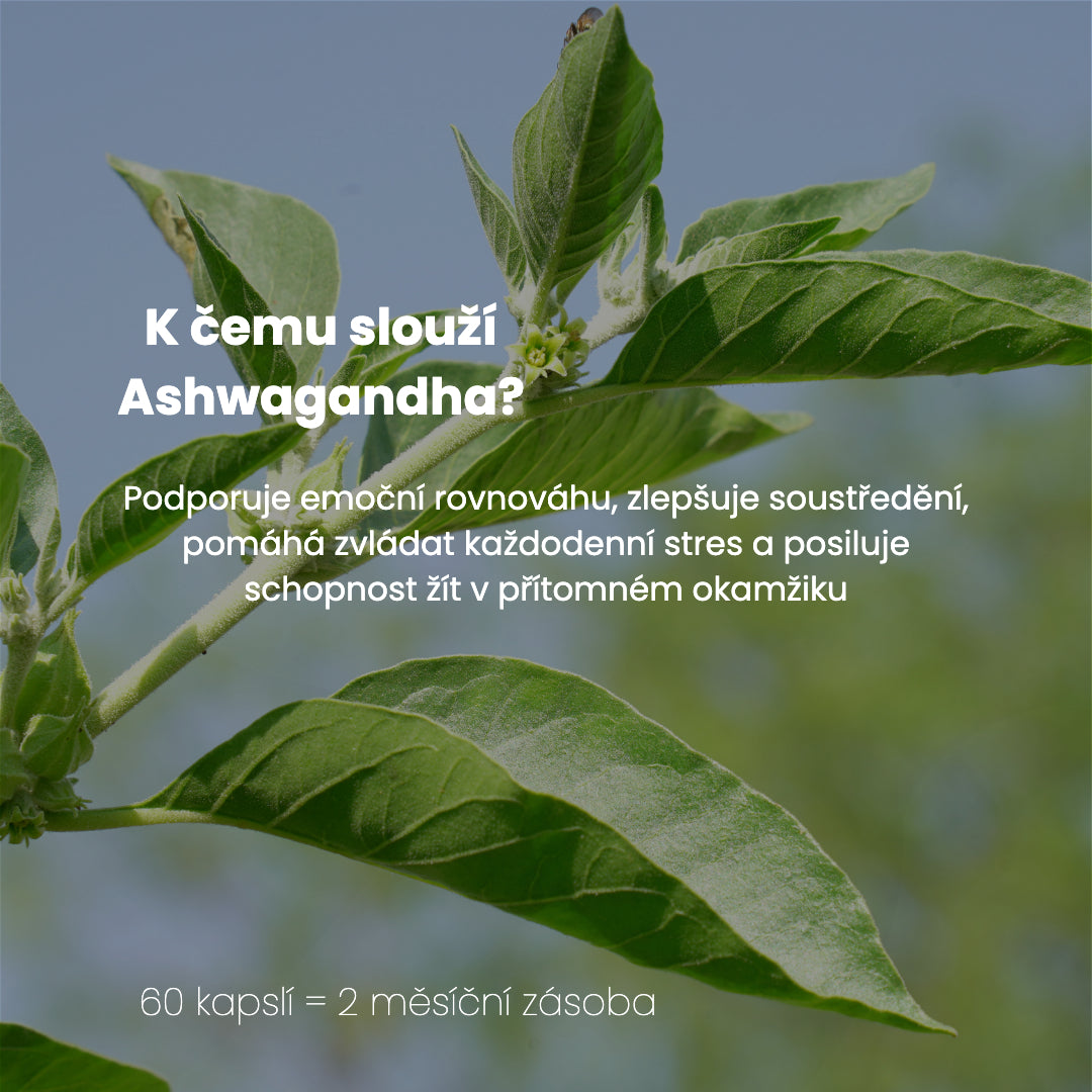 Ashwagandha 600mg - 60 kapsúl